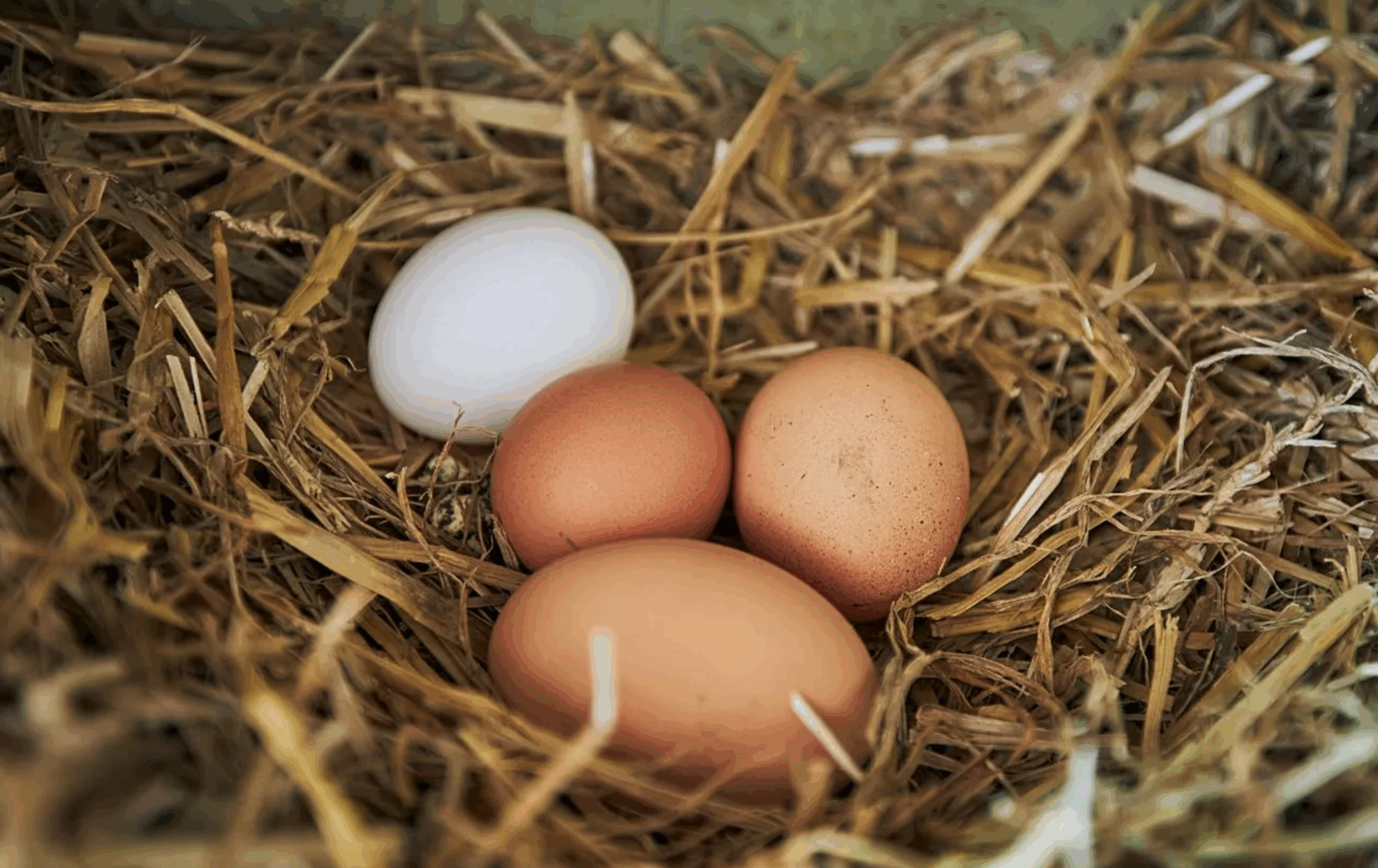 لقطة شاشة 2025-10-20 135333