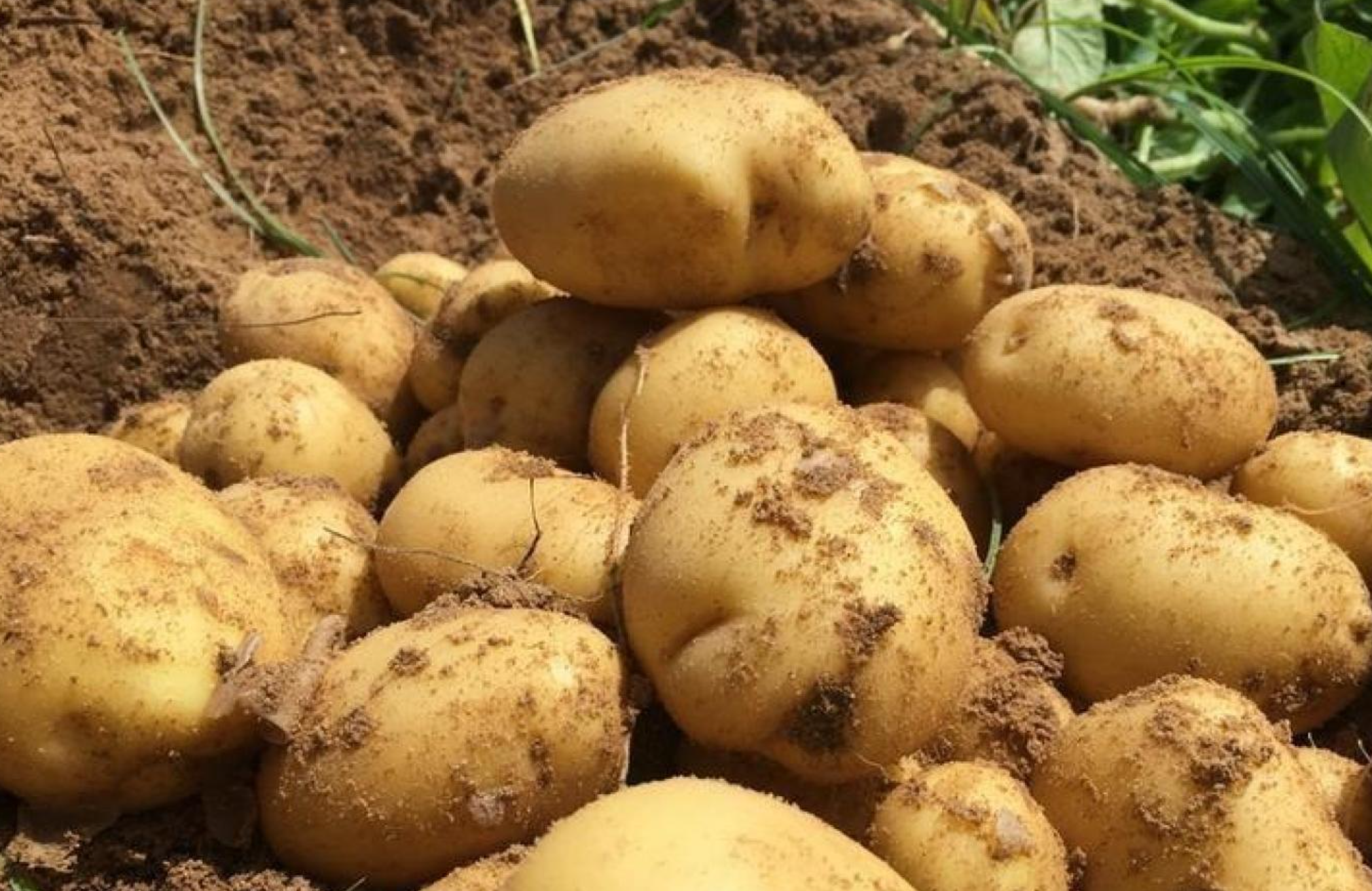 لقطة شاشة 2025-10-20 110227