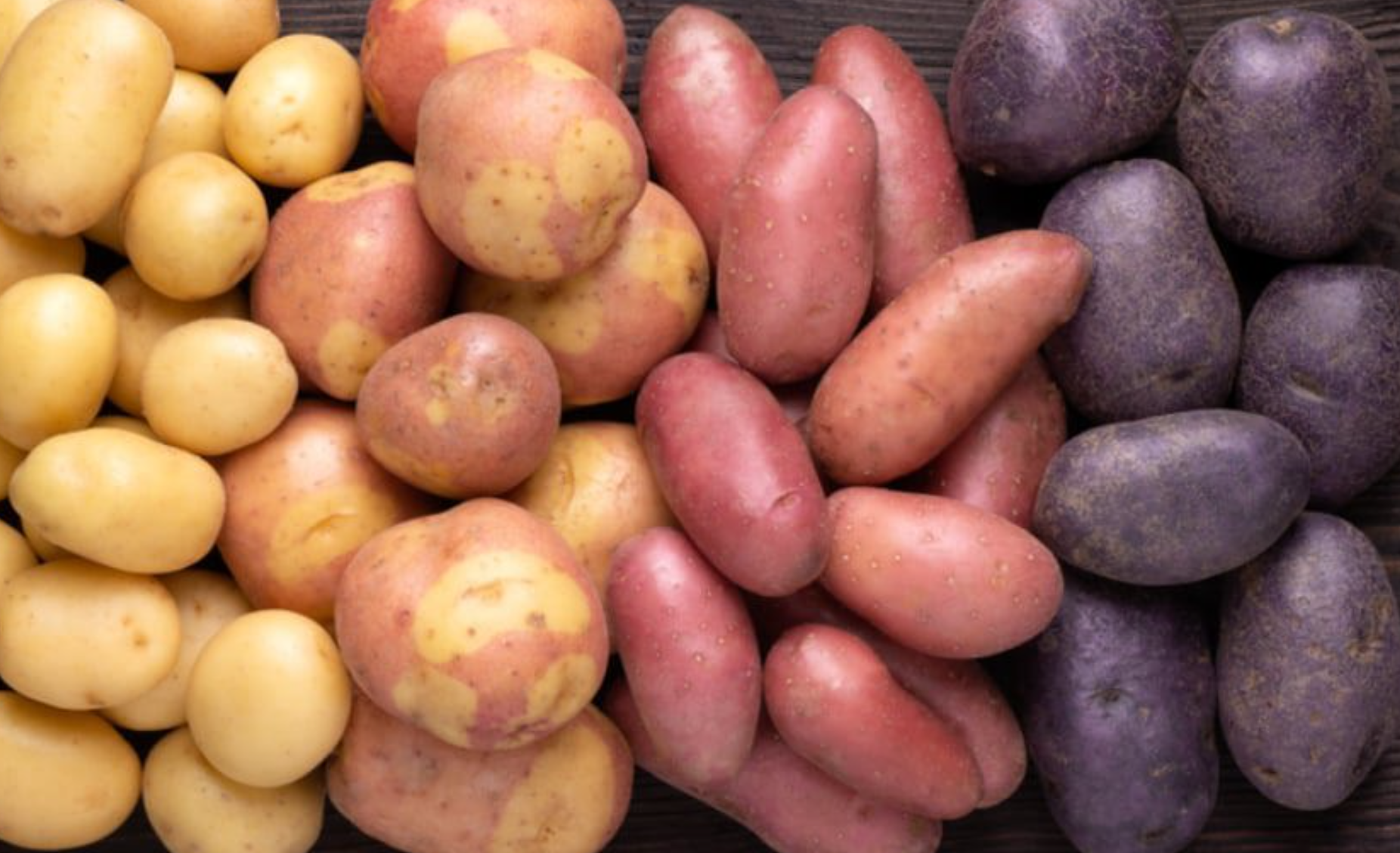 لقطة شاشة 2025-10-20 114021