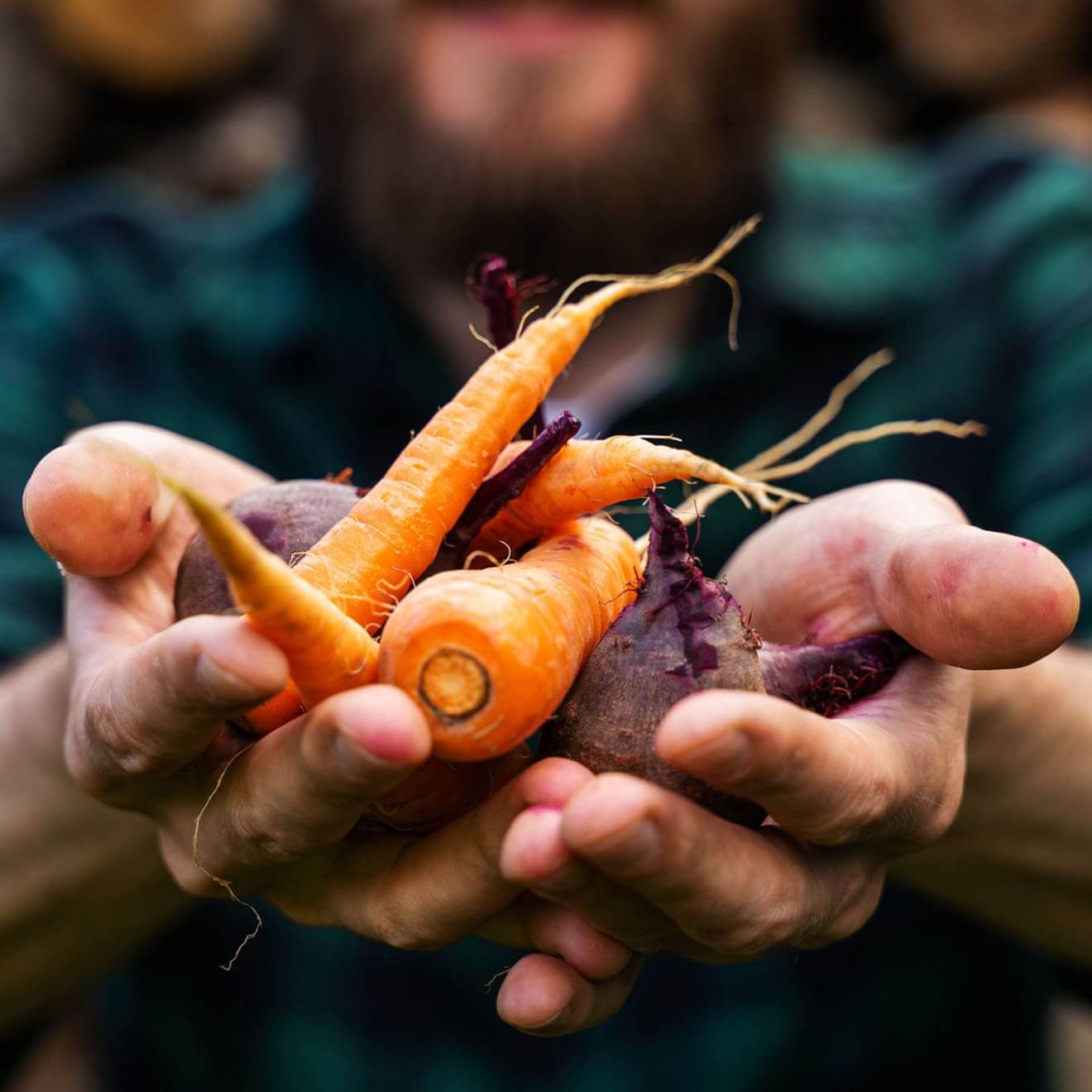 The Benefits of Organic Food: You Should Make the Switch