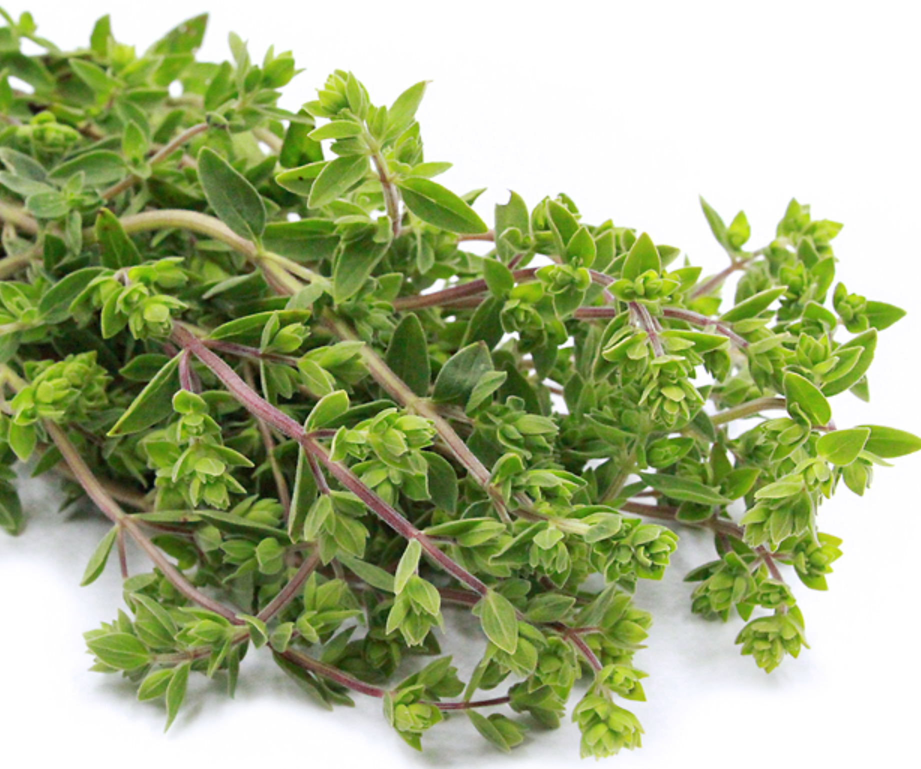 لقطة شاشة 2025-10-18 172852