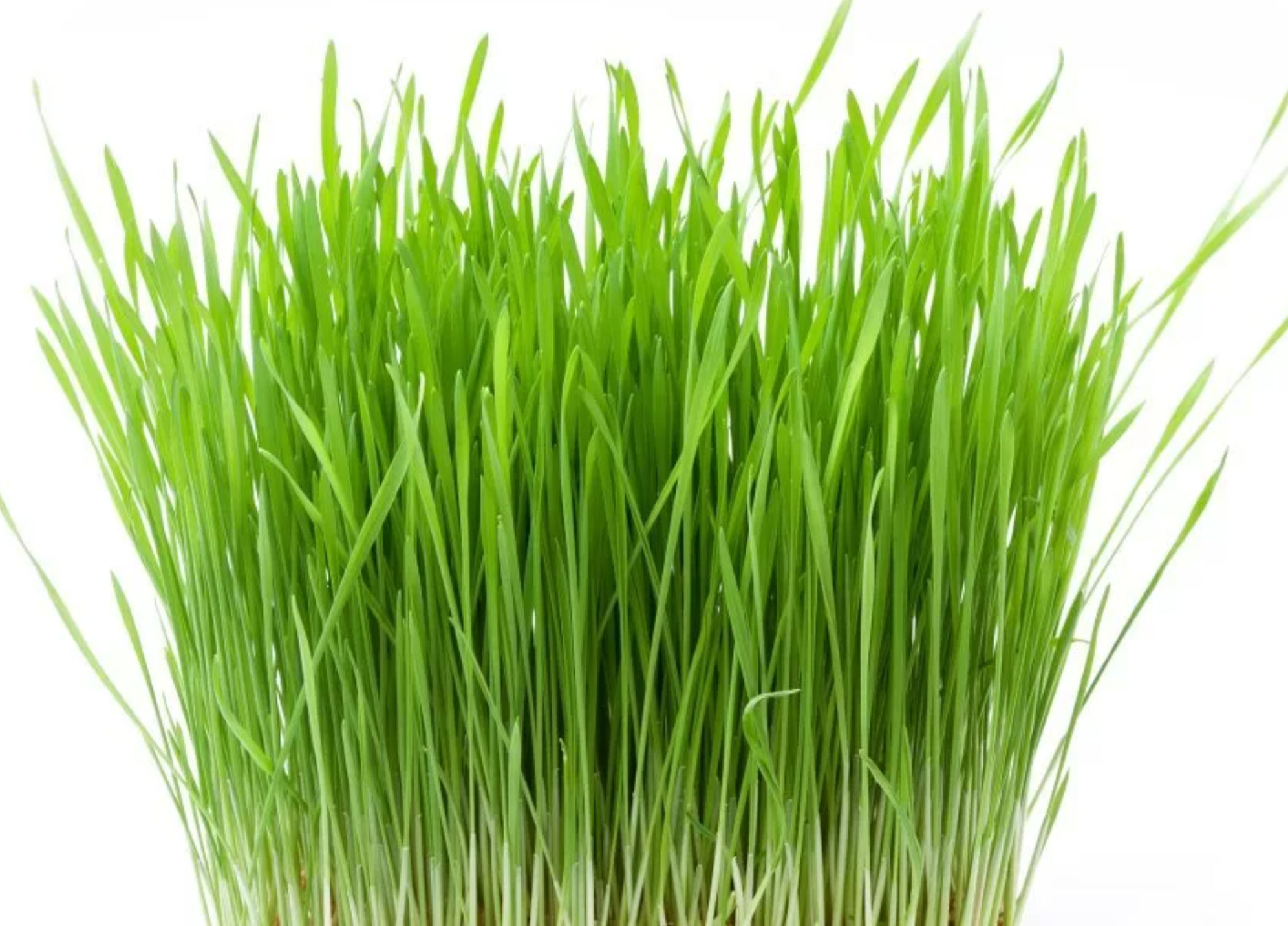 لقطة شاشة 2025-10-18 173347