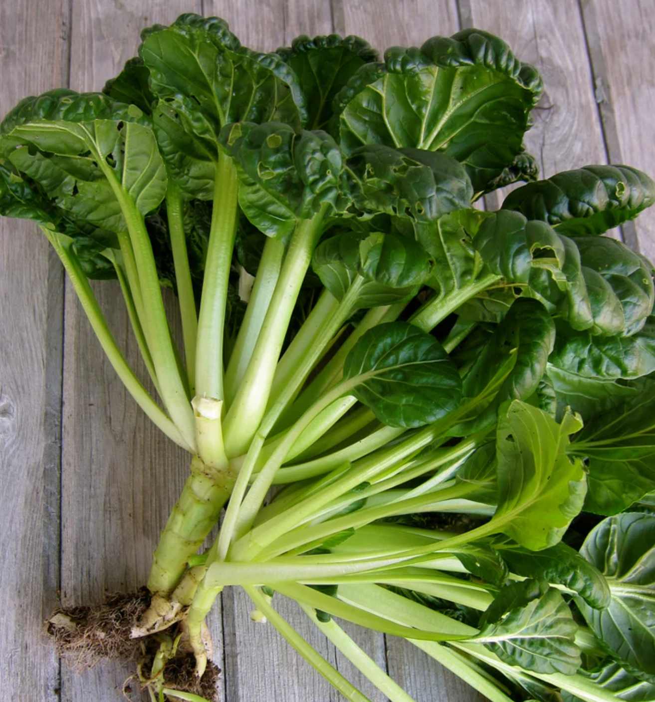 لقطة شاشة 2025-10-18 174046