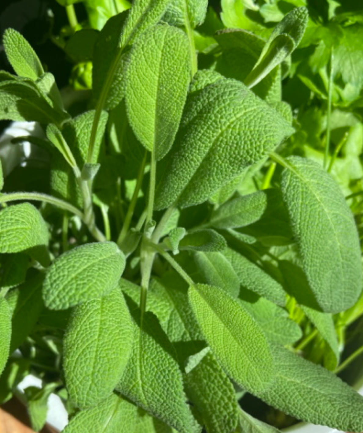 لقطة شاشة 2025-10-18 175240