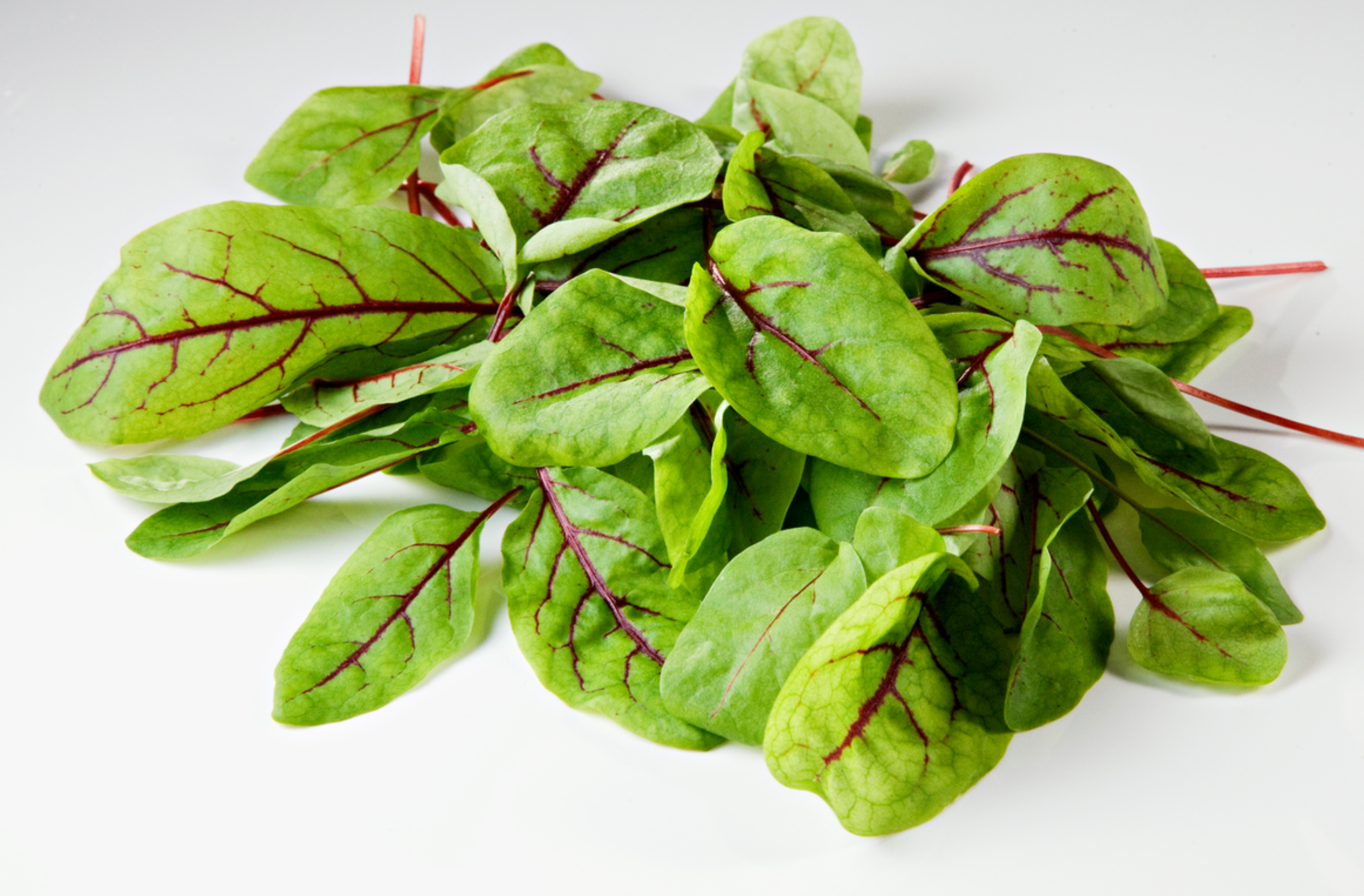 لقطة شاشة 2025-10-18 202159