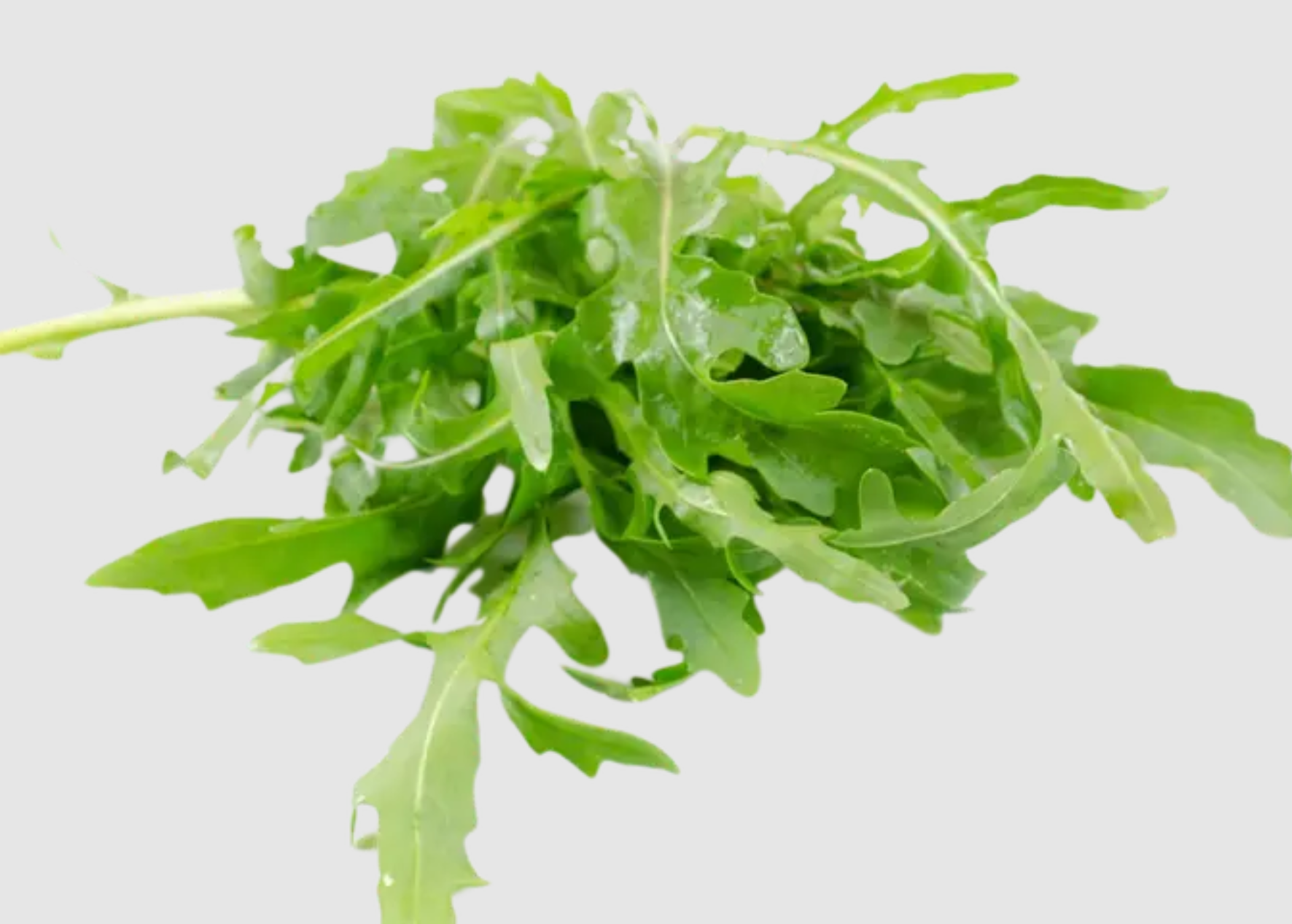 لقطة شاشة 2025-10-18 203354