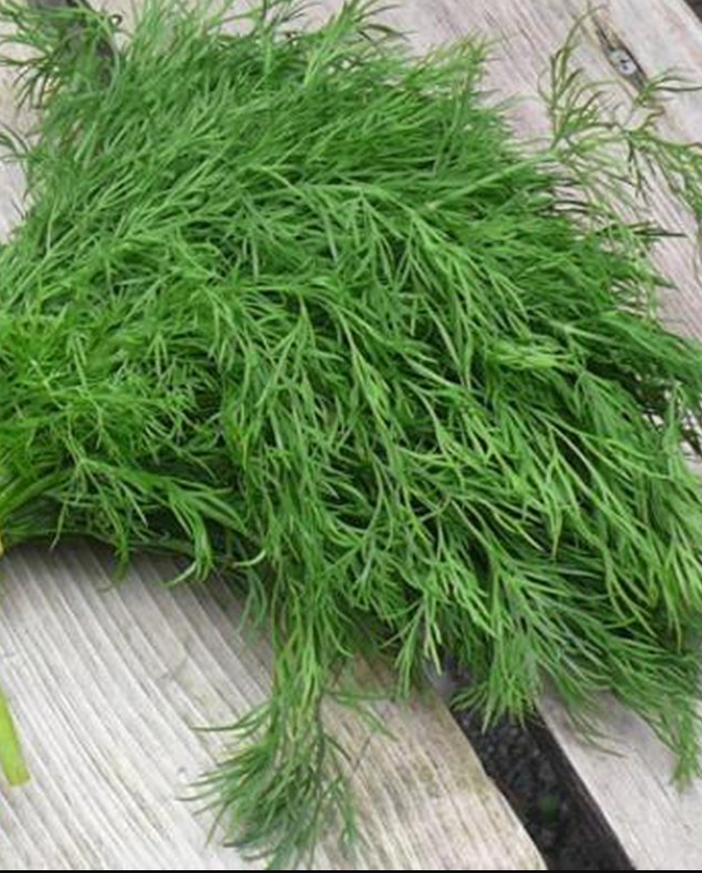 لقطة شاشة 2025-10-18 203912