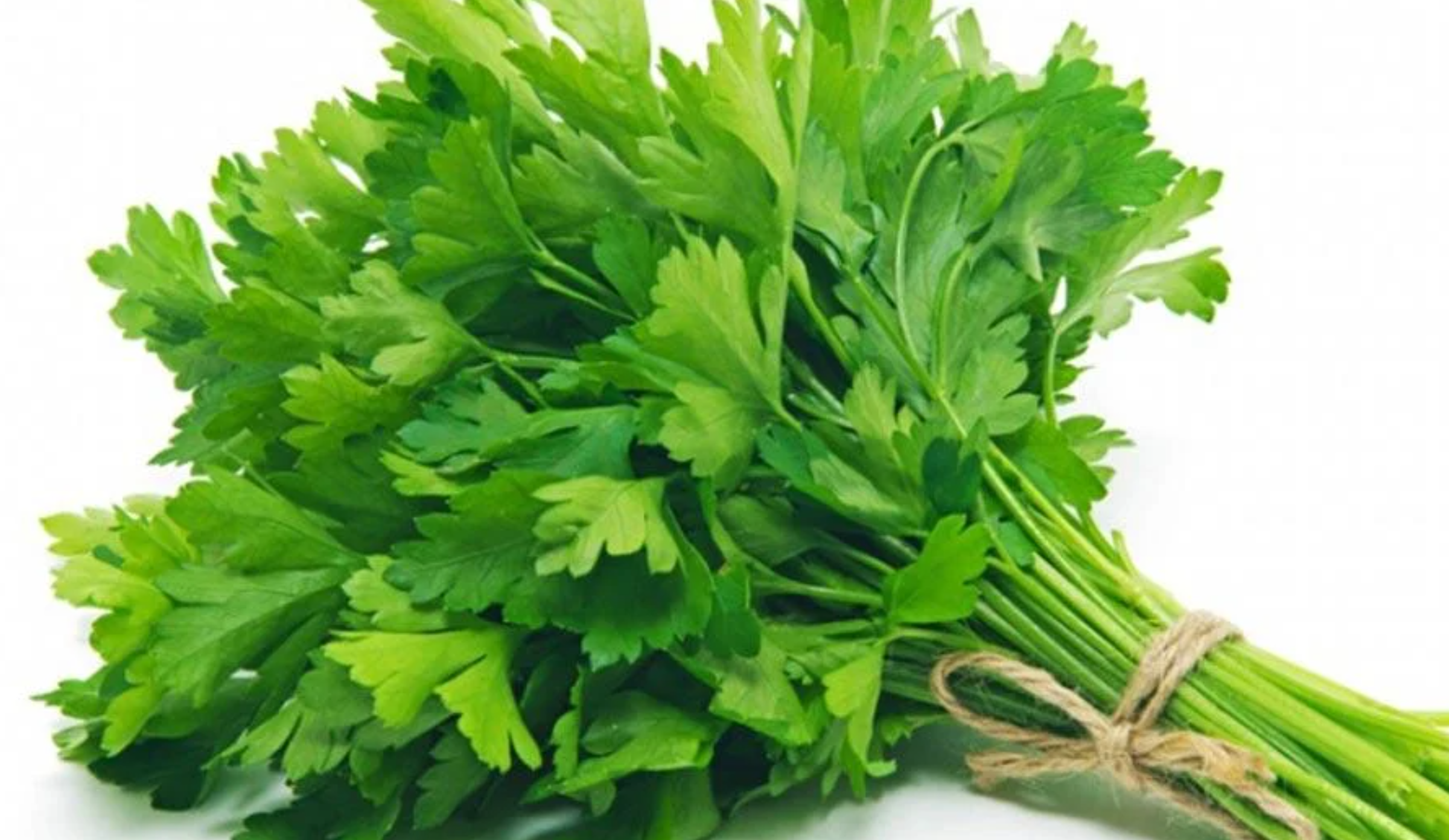 لقطة شاشة 2025-10-18 204642