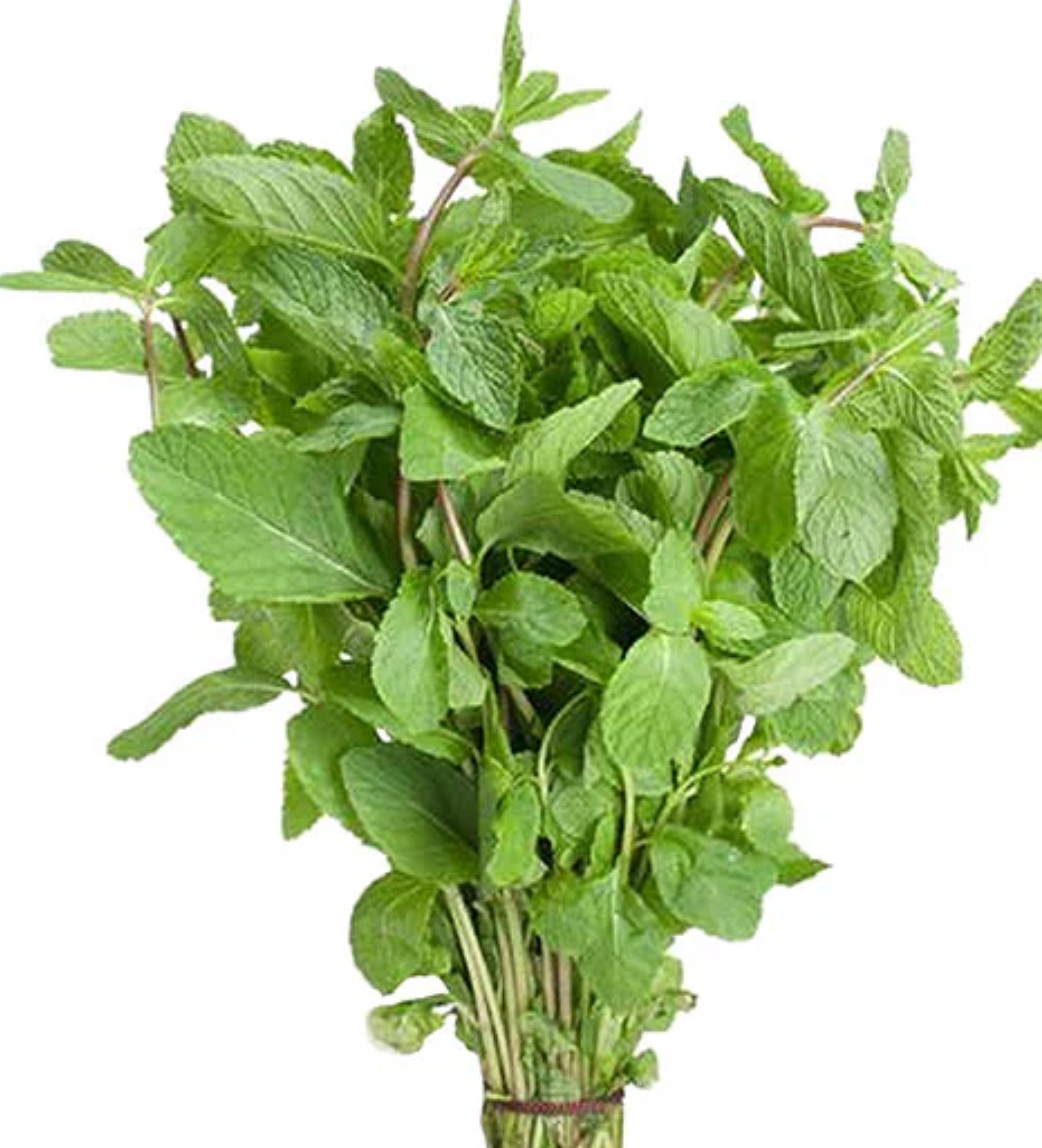 لقطة شاشة 2025-10-18 205506