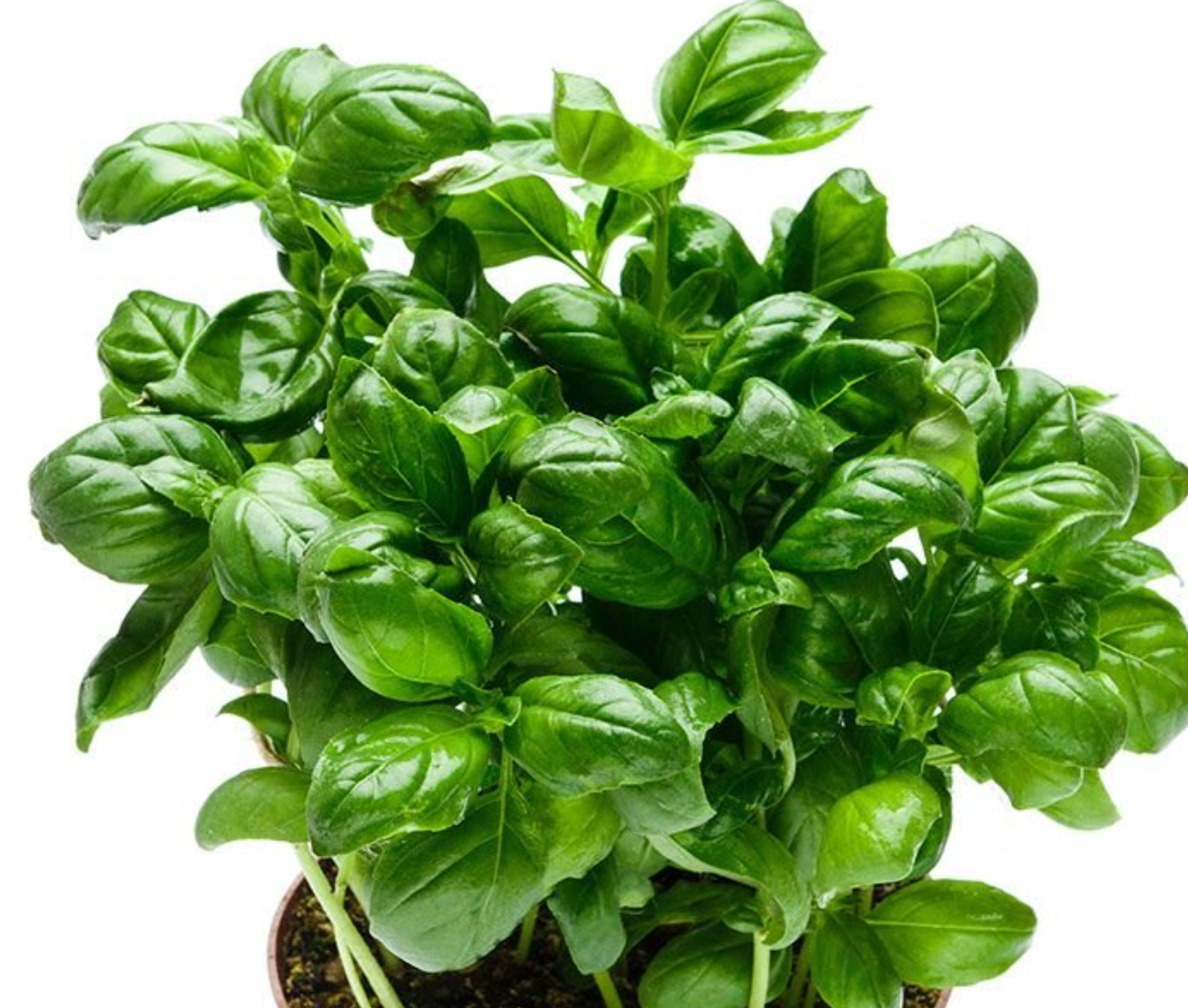 لقطة شاشة 2025-10-18 211030