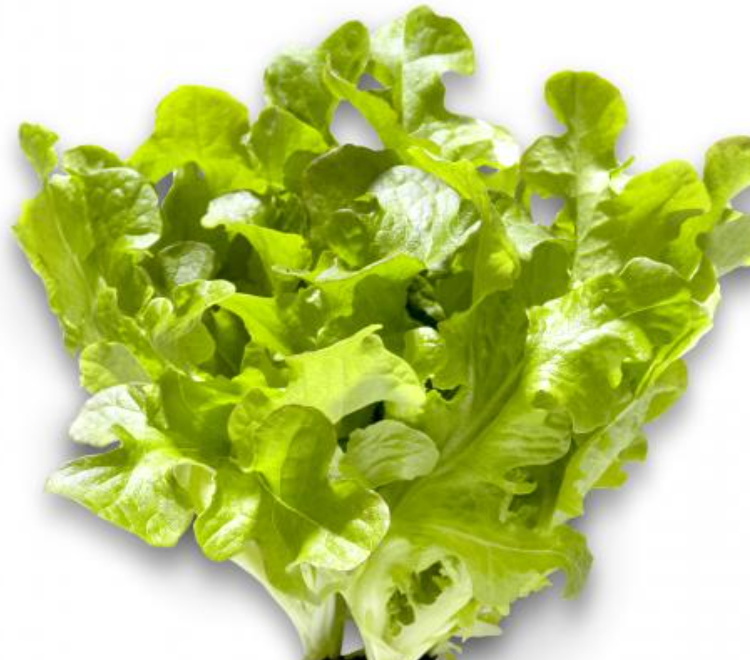 لقطة شاشة 2025-10-18 213204