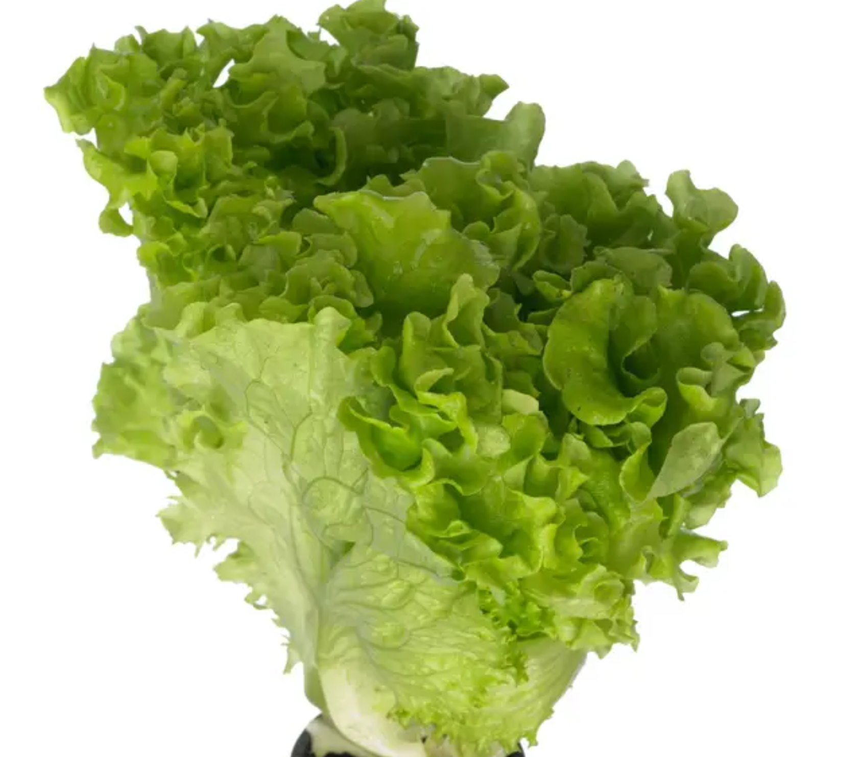 لقطة شاشة 2025-10-18 214316