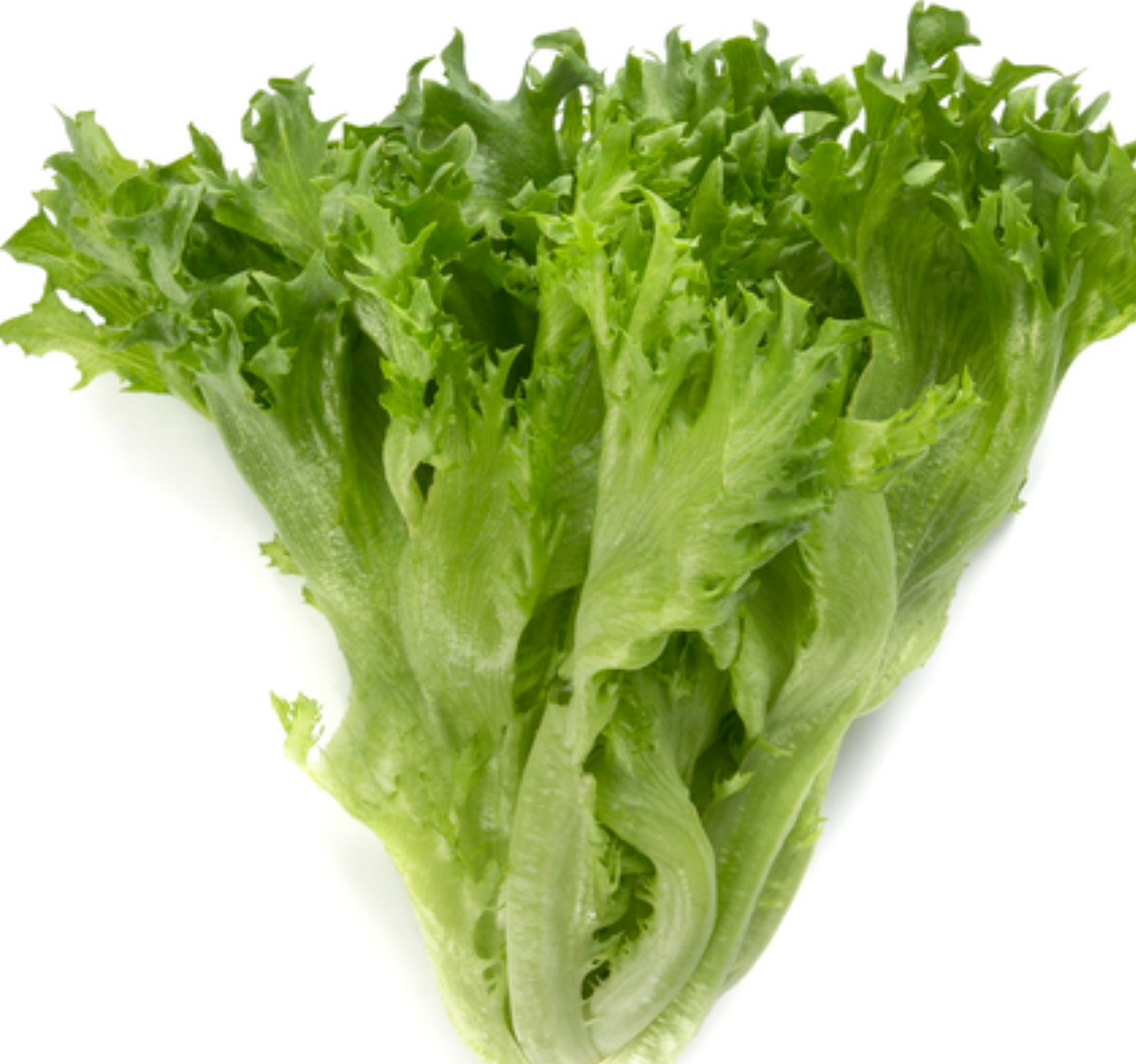 لقطة شاشة 2025-10-18 220435